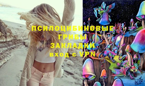 ECSTASY Осинники