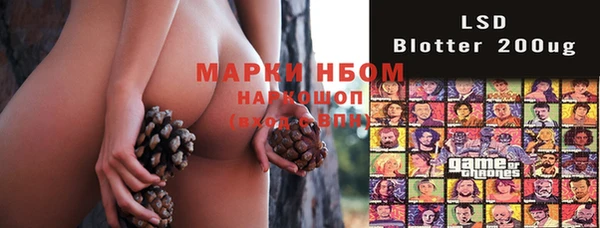 ECSTASY Осинники