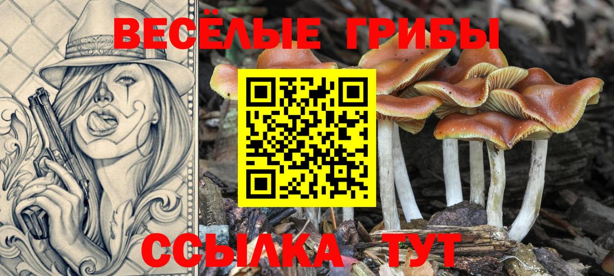 Тихорецк  Псилоцибиновые грибы GOLDEN TEACHER  цена наркотик  Псилоцибиновые грибы мицелий  Вход с VPN 